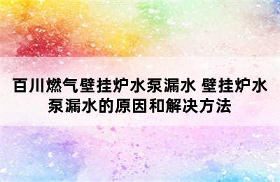 百川燃气壁挂炉水泵漏水 壁挂炉水泵漏水的原因和解决方法